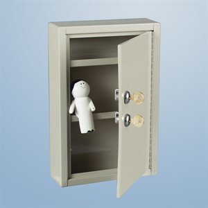 Slim-Line Narcotic Cabinet, 2 Locks, 1 Door, 8x12x2