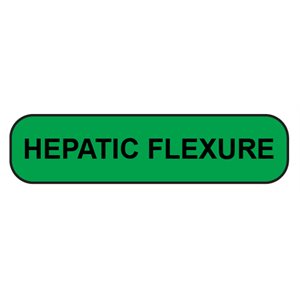 Label: Hepatic Flexure