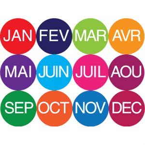 Label Months of the Year Label Package, 108 / month, French
